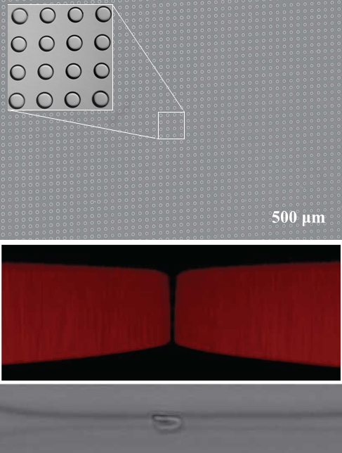 Free-Form in Situ Fabrication of Microfluidic Devices