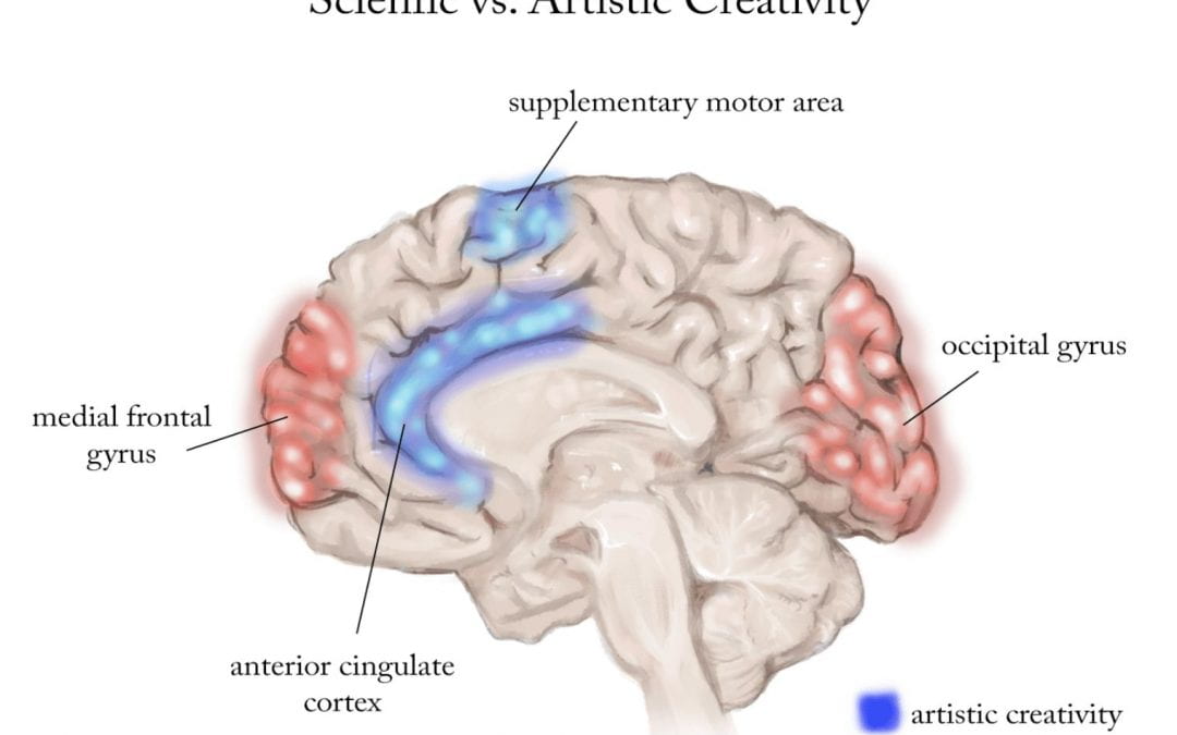 Scientific and Artistic Creativity Compared