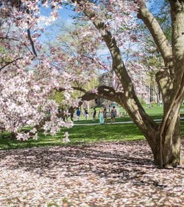 Lehigh University in Spring