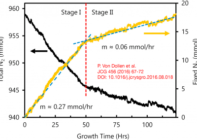 A new system for sodium flux growth of bulk GaN.Part II: in situ investigation of growth processes