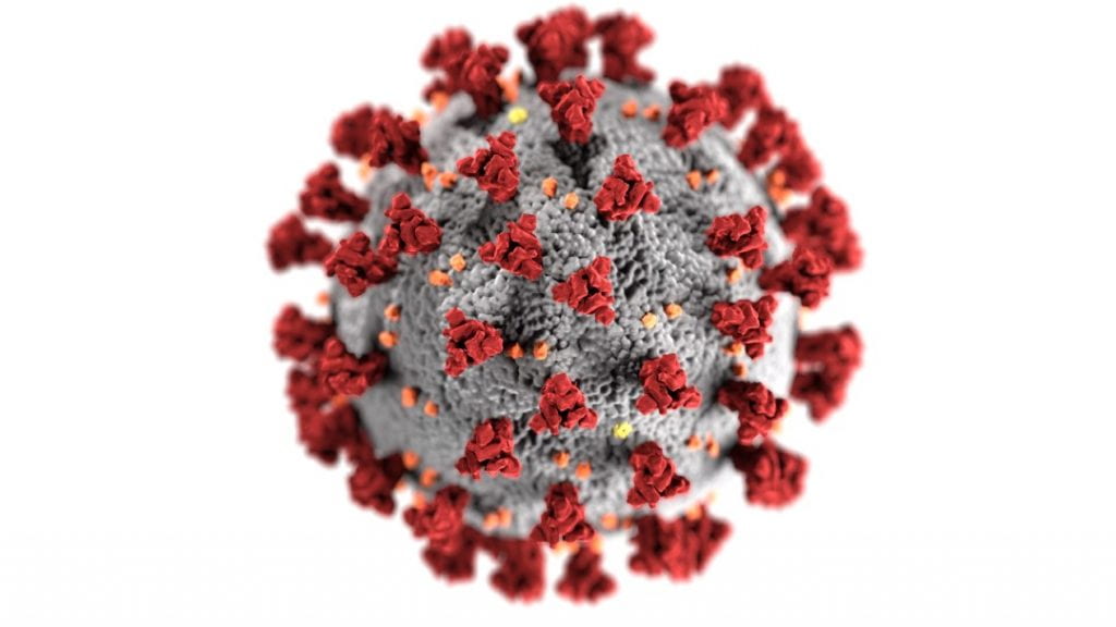 An illustration revealing the ultrastructural morphology exhibited by coronaviruses.