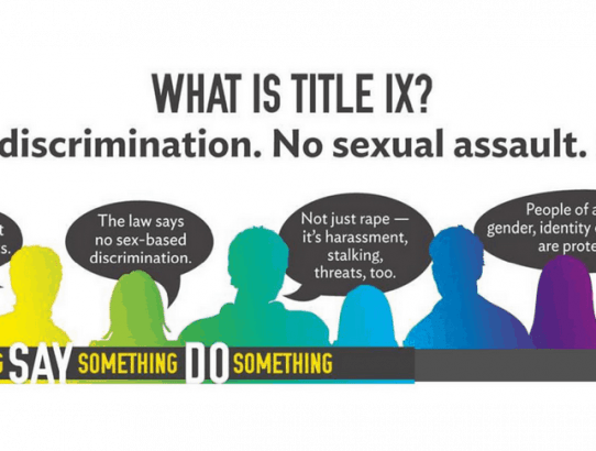 What is Title IX?