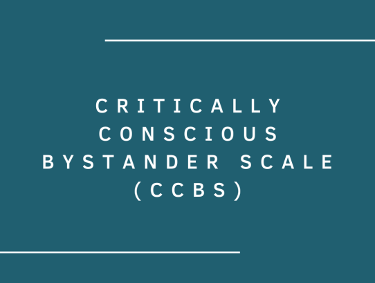 Critically Conscious Bystander Scale (CCBS)